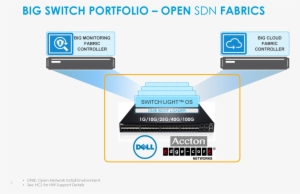 Open Networking Switches And Sdn - Whitebox Sdn #1476061