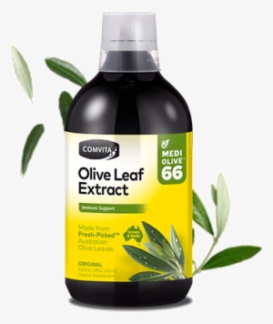 Shop Original Flavour 500ml - Comvita Olive Leaf Extract 500ml Peppermint Clearance #1476106