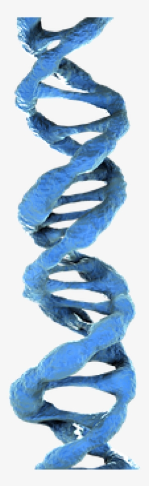 Dna 3d Dna Blue Dna Dna Dna Dna Dna Dna - Fountain Of Youth Salk Pills #1476424