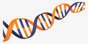 Frequently Asked Questions - Dna #1476517