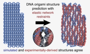 Dna Origami Is A Cost-effective Method Of Controlling - Dna Origami Cryo Em #1476560