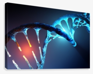 Dna Strand Modification Canvas Print - Dna Strand #1476584