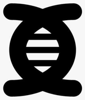 Dna Strand Vector - Education #1476586