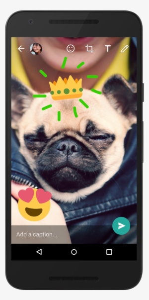 Whatsapp Camera #1476587