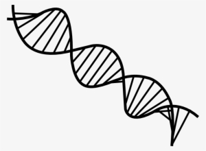 Dna Drawing Png - Black And White Dna Png #1476651