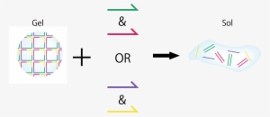 When Adding Only Dna Strand A Or Dna Strand B (stb), - Graphic Design #1476863