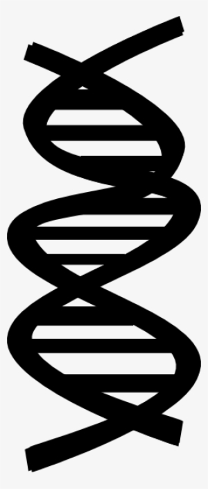 Royalty Free Download Black Clip Art At Clker Com Online - Biology Clipart Black And White #1476954