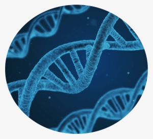 Biology Journal #1477067