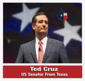 Ted Cruz Said He Was “emphatically Opposed” To Federal - Тед Круз Сенатор #1477599