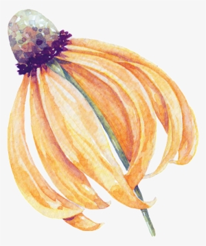 Withered Flower Cartoon Transparent - Flor Marchitada Png #1477708