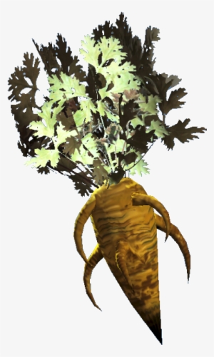 Carrot - Fallout Vegetables #1478682
