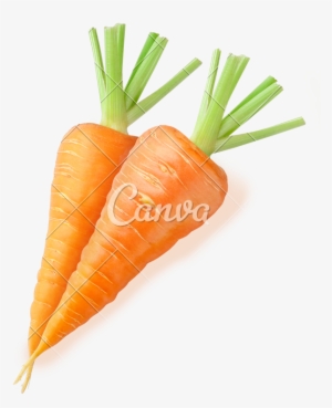 Two Fresh Carrots - Canva #1478870