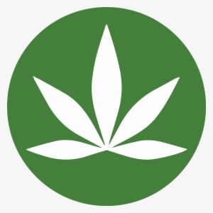 Squeeze Labs #1479133