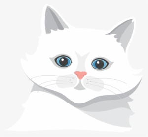 Contract This Deadly Disease Is Exposure To An Infected - Rabies #1479704