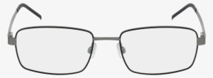 Png Free Stock Cole Haan Eyewear Collection Shop Glasses - Cole Haan Eyeglasses Ch4013 #1480240
