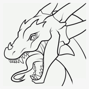 More Like I'm Just Too Cute To Have Legs By Nothofagus - Simple Dragon Head Drawing #1481969