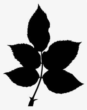 Transparent Leaves Silhouette - Tree Big Leaves Silhouette #1482605 Transparent Leaves Silhouette - Tree Big Leaves Silhouette #1482605