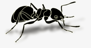 Ant, Insect, Hardworking, Busy - Ant Vector #1483266