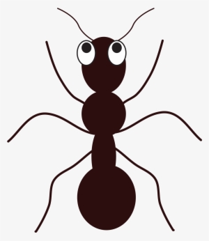 Free Ant Clipart Meum Visualdnsnet 5 - Free Clip Art Ant #1483414