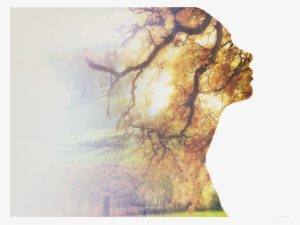 Awakened By Chris Mac 9781523497898 (paperback) #1483645