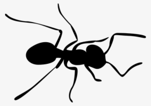 Ant Silhouette At Getdrawings Com Free For - Ant Clip Art Png #1483898