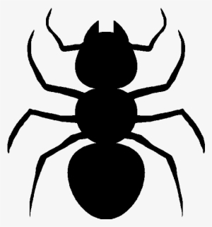 Ant - Top #1483921 Ant - Top #1483921