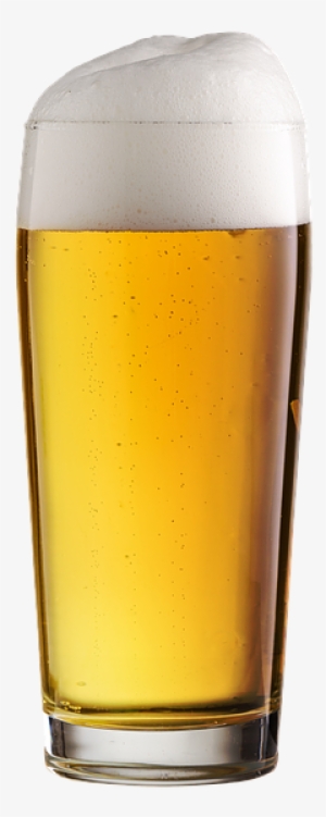 Beer, Drink, Glass, Refreshment, Alcohol, Bar - Beer #1484143