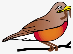 Robin Clip Art #1485029