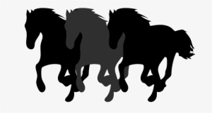 Three Horses Running - Black Horse Transparent #1485584