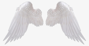 اجنحة Png #1486484 اجنحة Png #1486484