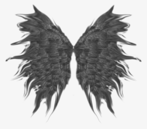 Soft-wings - Portable Network Graphics #1486608