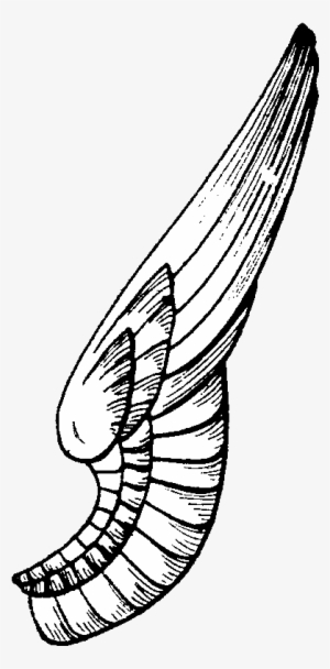 Below Are Some Extra Wings For You To Play With - One Side Wings Png #1486677