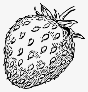 Strawberry Clipart Drawn - Strawberry Clip Art #1487303