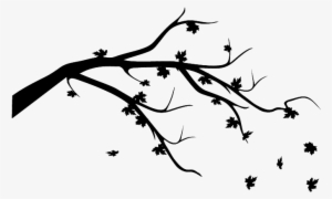 Falling Leaves - Leaves Falling Black And White #1488114