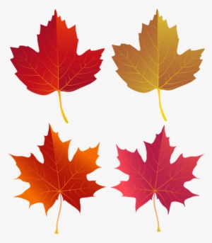Set Of Autumn Leaves Png Clip Art - Politics Of War By Jean-christophe Boucher #1488327