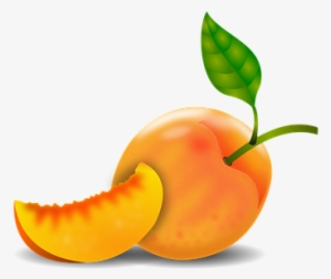 Peach Damascus Peach Tree Fruit Fruits Orc - Durazno Dibujo Png #1488330
