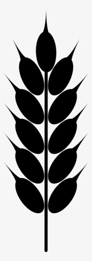 Grain Wheat Crop - Grain Clipart #1488366