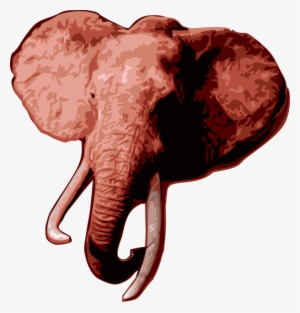 Vector Illustration Of African Elephant Head With Tusks - Elephant #1488950