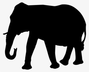 Elephant Head Png For Kids #1489192