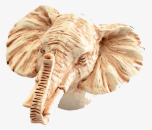Elephant Head Cabinet Knob #1489373