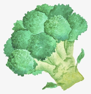 Green Hand Painted Broccoli Cartoon Vegetable Kitchen - Broccoli #1490088