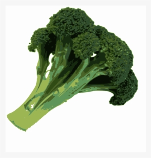 Broccoli .png #1490112