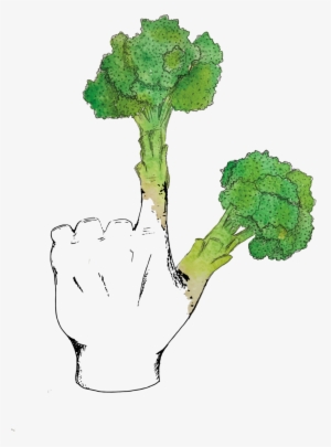 Broccoli Fingers #1490178