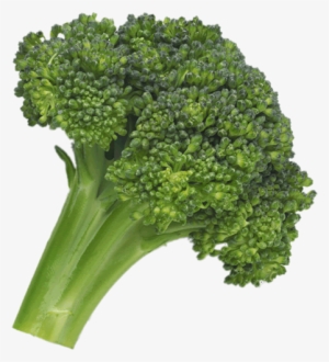 Broccoli Png Image - Fruit And Vegetables Broccoli #1490228