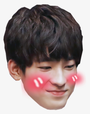 [png Request] Wonwoo, Suga, B - Seventeen Wonwoo Face Png #1490229