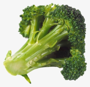 044-brocoli - Vegetal Que Parece Arvore #1490324
