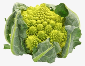 Download - Romanesco Kool #1490481 Download - Romanesco Kool #1490481