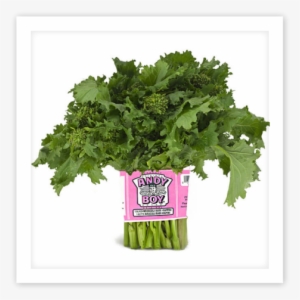 You Are Here - Rapini #1490599