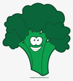Free Food Groups Clipart - Broccoli Clipart With Name #1490673