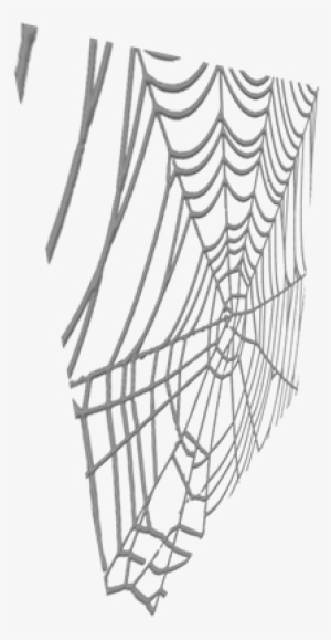 Spider Webs PNG, Transparent Spider Webs PNG Image Free Download - PNGkey